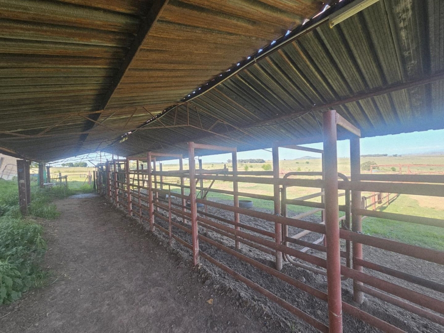 17 Bedroom Property for Sale in Ladybrand Free State